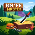 Play Knife Master now!